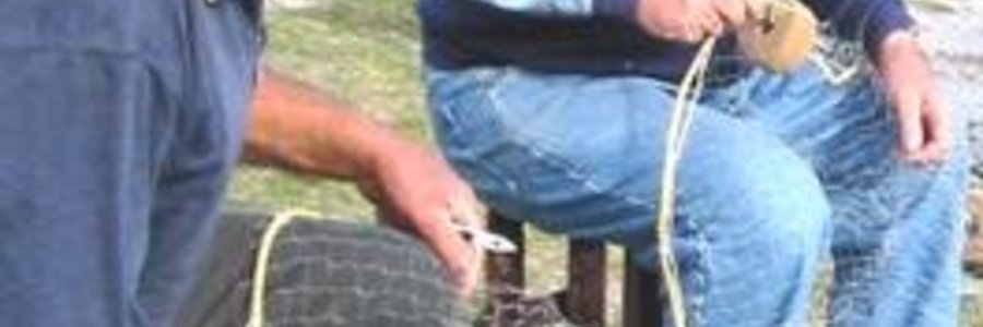 Nette boet(nette heelmaak)